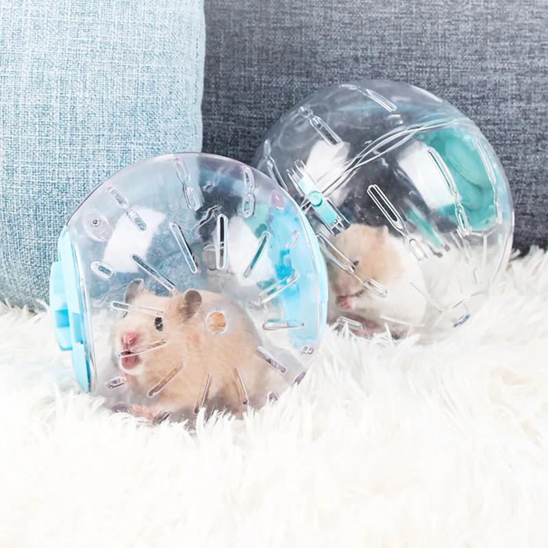 Plastic outdoor sport ball grounder rat small pet mice jogging - TikTok ...