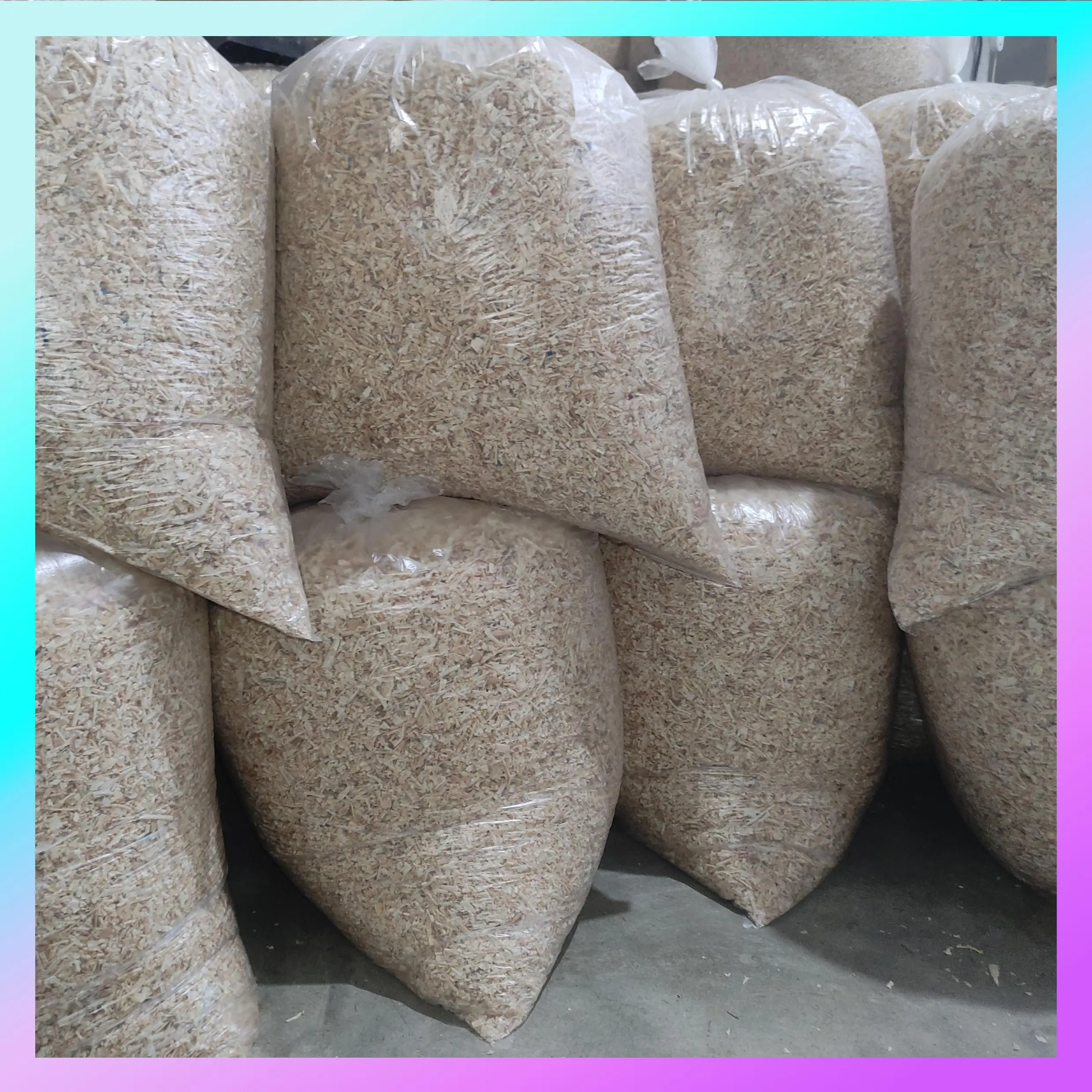 Kusot 3 kilos wood shavings from Palochina BISTAY. Hamster Beddings ...
