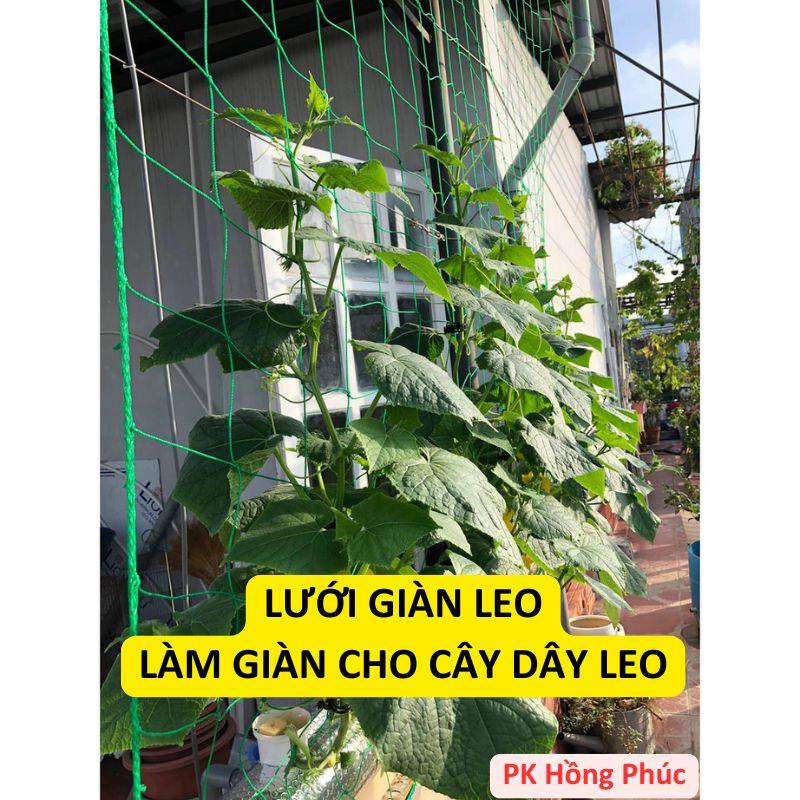  Lưới giàn leo lưới làm giàn mướp bầu bí cây dây leo  nhiều kích thước  tặng kèm dây buộc lưới 