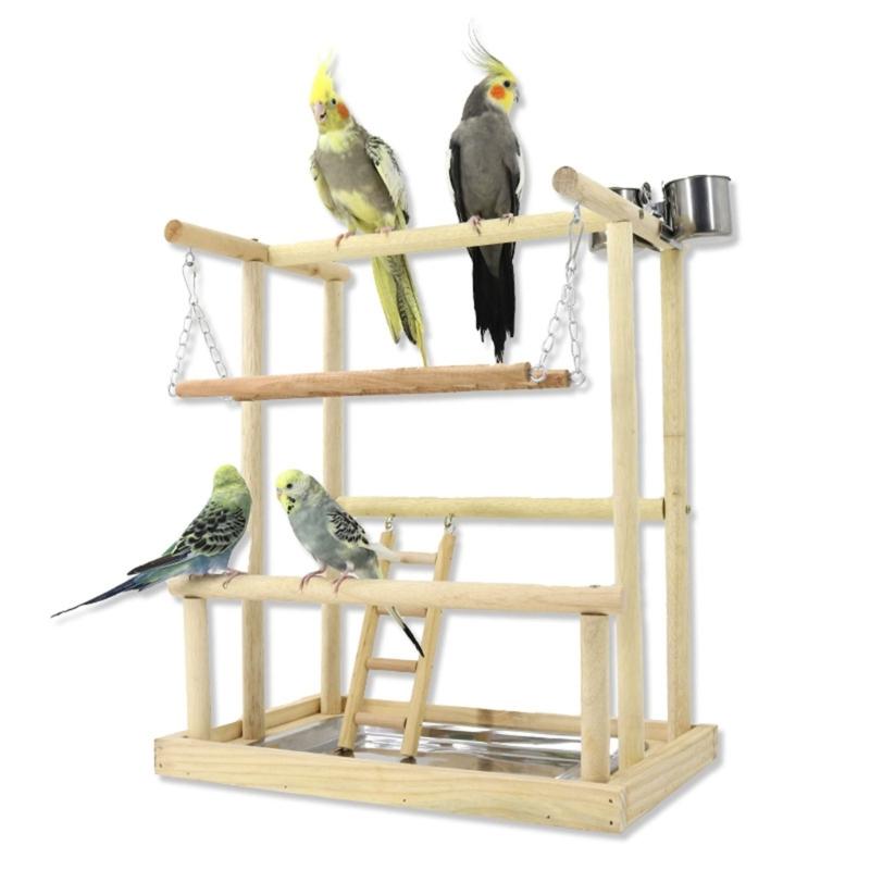 Parrot Playstand Birdcage Stands Perch Gym Bird Playground Bird - TikTok Shop Singapore - Bird Playstand Exercise Kit