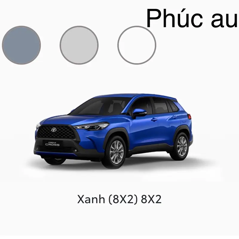 Chai sơn xịt xước xe màu 8X2 Toyota 1