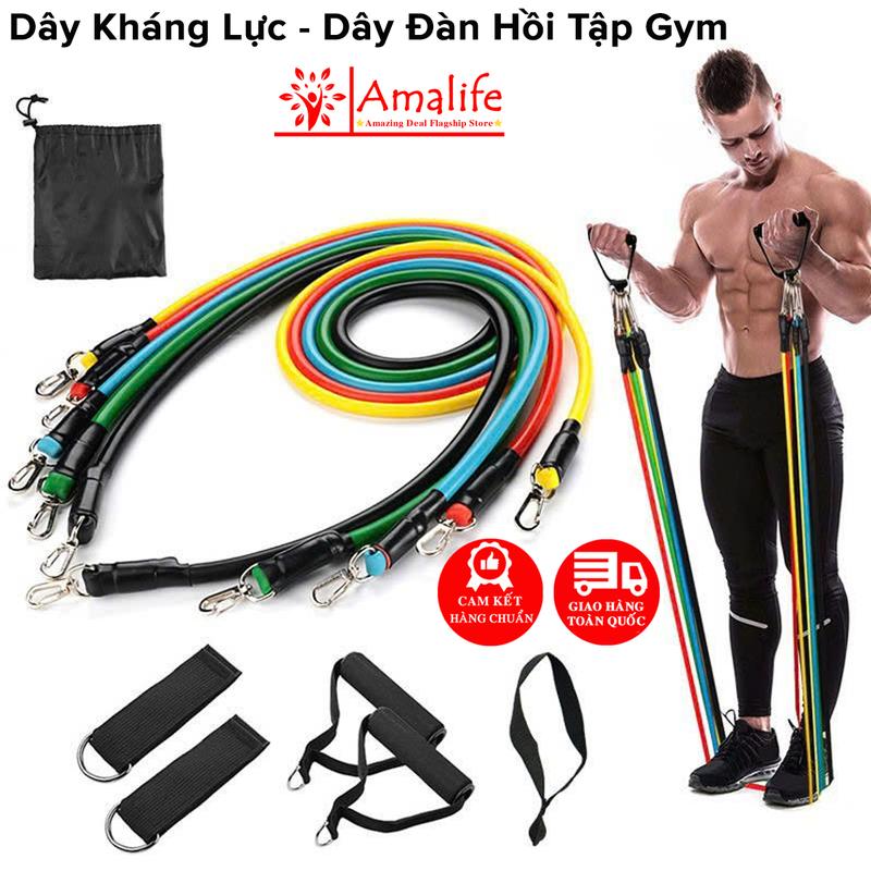 Bộ 5 Dây Kháng Lực Dây Kéo Đàn Hồi Ngũ Sắc Tập Thể Hình Tập Gym Toàn Thân Đa Năng Chống Đứt Móc Sắt Cao Cấp Hãng Amalife