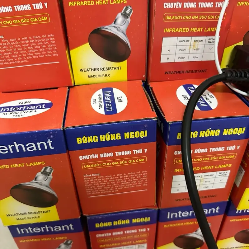 Combo 4 bóng đèn hồng ngoại úm vật nuôi 45w bền và tiết kiệm điện 3