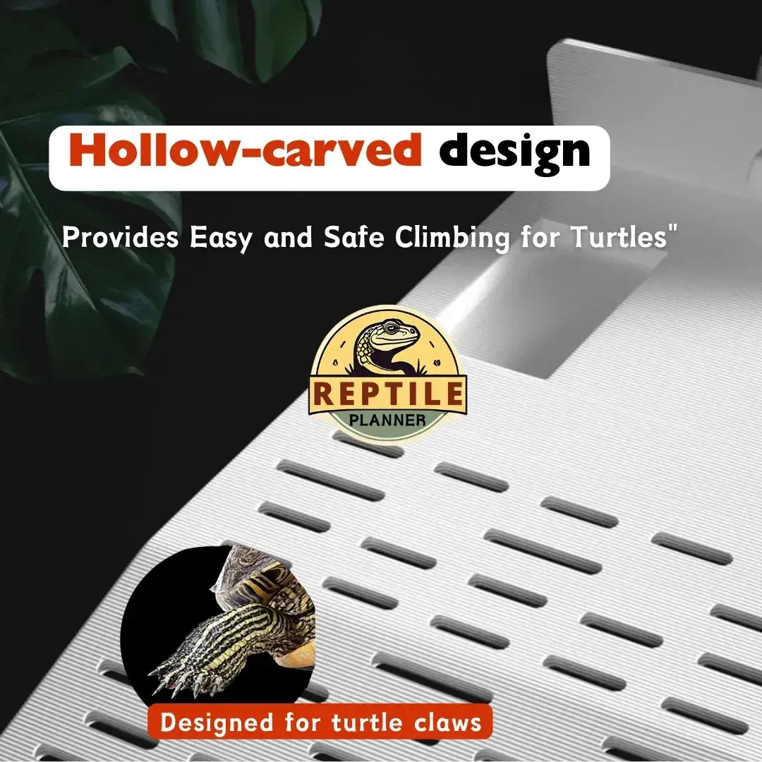 Warehouse with Platform Kura2 Acrylic Climbing Platform for Reptiles Turtles Living Platform Sunbathing Floating Plastic Island