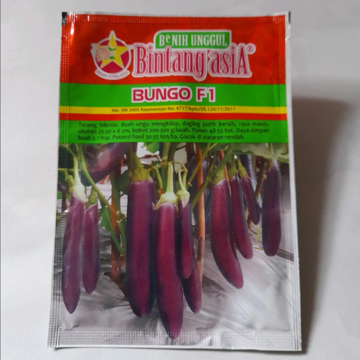 Benih terong ungu panjang Isi 50 biji