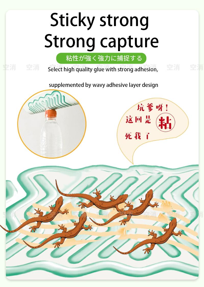Product Introduction of Nhà thằn lằn, Bộ 5 cái, Hộp bẫy Dính, Bắt vật lý, Dính thằn lằn, Bắt hiệu quả, Tiện lợi, Thích hợp cho nhà bếp, nhà, ký túc xá, công ty, nhà hàng 1