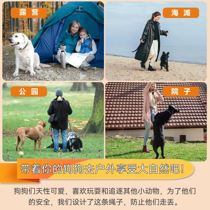 Dây Xích Chó, Dây Thép Dài, Dày, Chống Cắn, Chống Bám Bẩn, Cầm Tay Cho Thú Cưng, Dây Xích Chó Ngoài Trời 20ft, Dây Xích Chó 2