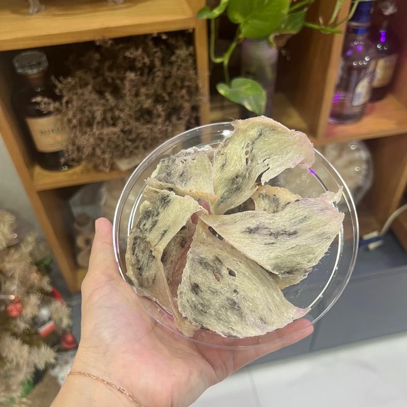 Yến thô tổ góc+nứt nhẹ -Yến sào Ngọc Hân - nhà yến 15 năm tại Kiên Giang 2