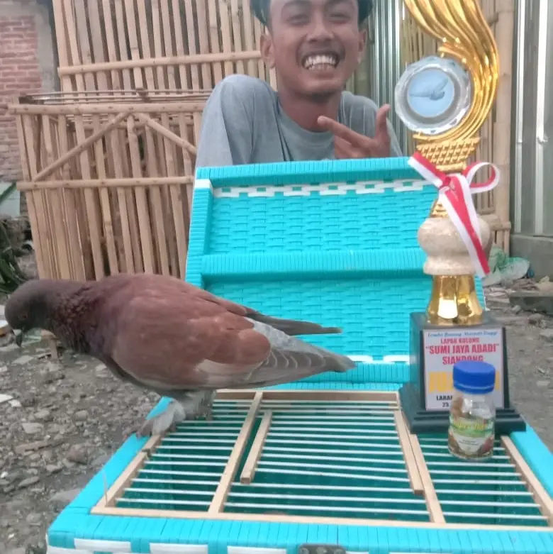 Jamu Merpati Superthor isi 120 butir 7