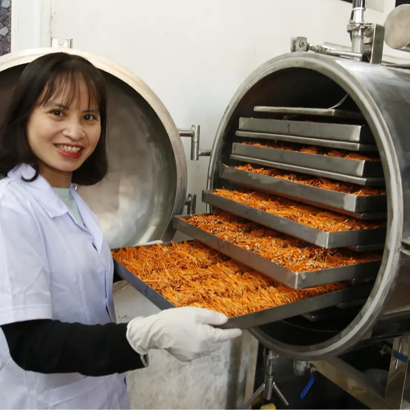 Đông trùng hạ thảo sấy thăng hoa lọ 40g sợi rối(ít gãy), chủng giống Nhật Bản, dược chất cao. 5