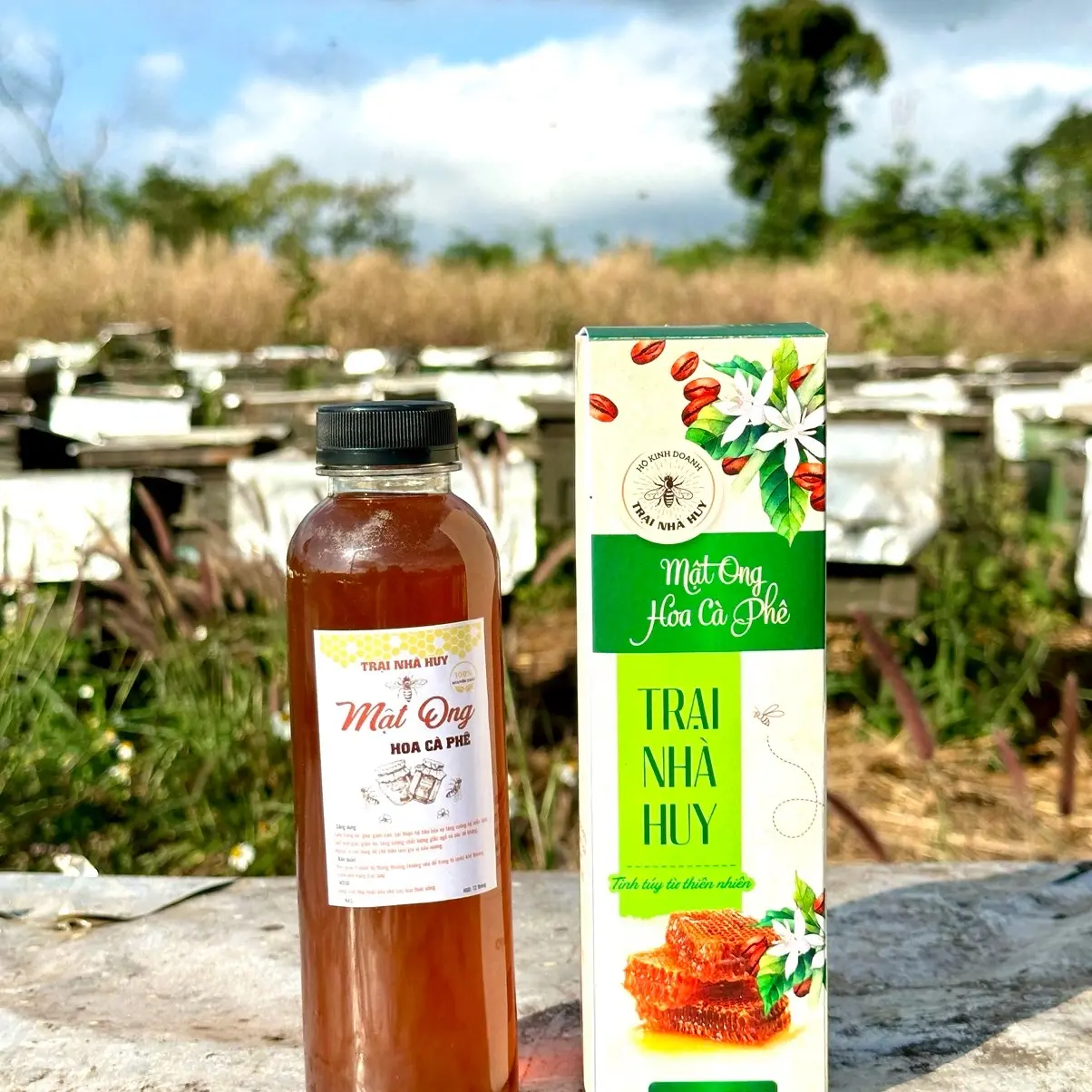 500ml mật ong hoa cà phê Trại Nhà Huy