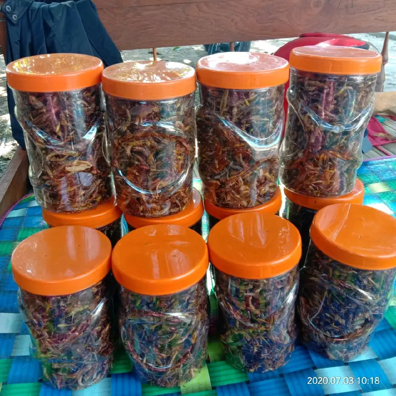 CEMILAN EXTRIM /WALANG/BELALANG GORENG TOPLES PANJANG 210 GRAM Rendah lemak 0
