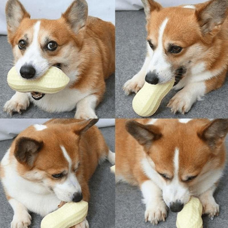Product Introduction of Peanut Dog Toy Molar Bite Resistant Squeak Vocal Pet Toy Ball for Puppy Cat Interactive Teeth Grinding Accessories 8