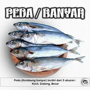 IKAN PEDA / KEMBUNG BANYAR ASIN PREMIUM 100/250/500 gram
