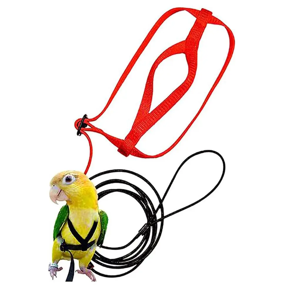 Outgoing Leash Flying Traction Straps Band Training Flying Traction Rope Bird Harness Leash Parrot Flying Rope Bird Leash Parrot Harness