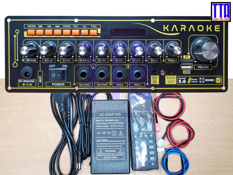 Bộ mạch loa kéo reverb mini - mạch loa xách tay mini 2 kênh riêng biệt - 100W