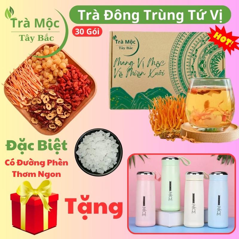 Hộp 30 gói TẶNG BÌNH GIỮ NHIỆT - Trà đông trùng tứ vị thảo mộc Tây Bắc (nấm đông trùng hạ thảo, táo đỏ, kỷ tử, long nhãn) hàng chọn có mix thêm đường phèn, trà thảo dược tây bắc