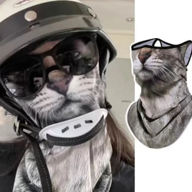 Kucing Belang Yang Elegan