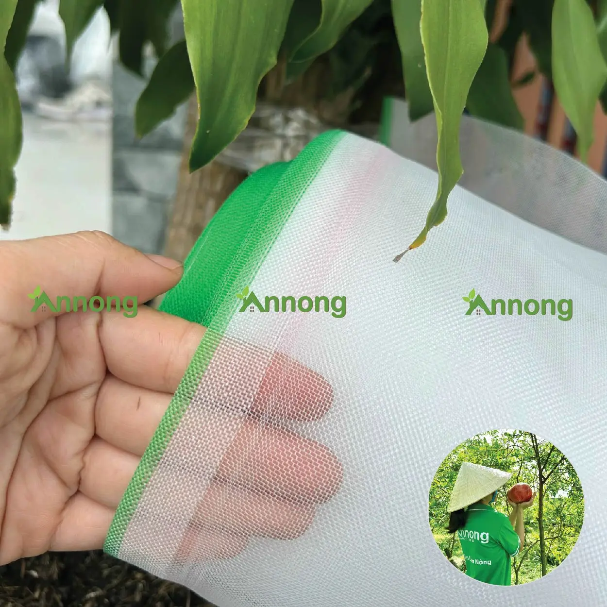 Lưới côn trùng 32 mesh chắn bọ trĩ, lưới trồng rau