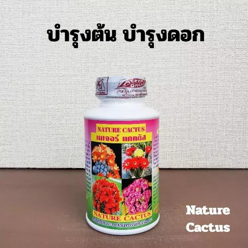 Product Introduction of ปุ๋ยน้ำแคคตัส Cactus Bloom ปุ๋ยน้ำกระบองเพชร 250 cc. 3