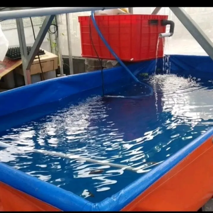 terpal kolam ikan a12 korea uk 300×200×100