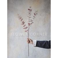Gambar Daun Artificial Eucalyptus Silver Dollar Thin Spray (D22128) dari FlowerCornerID Kota Administrasi Jakarta Utara 3 Tokopedia