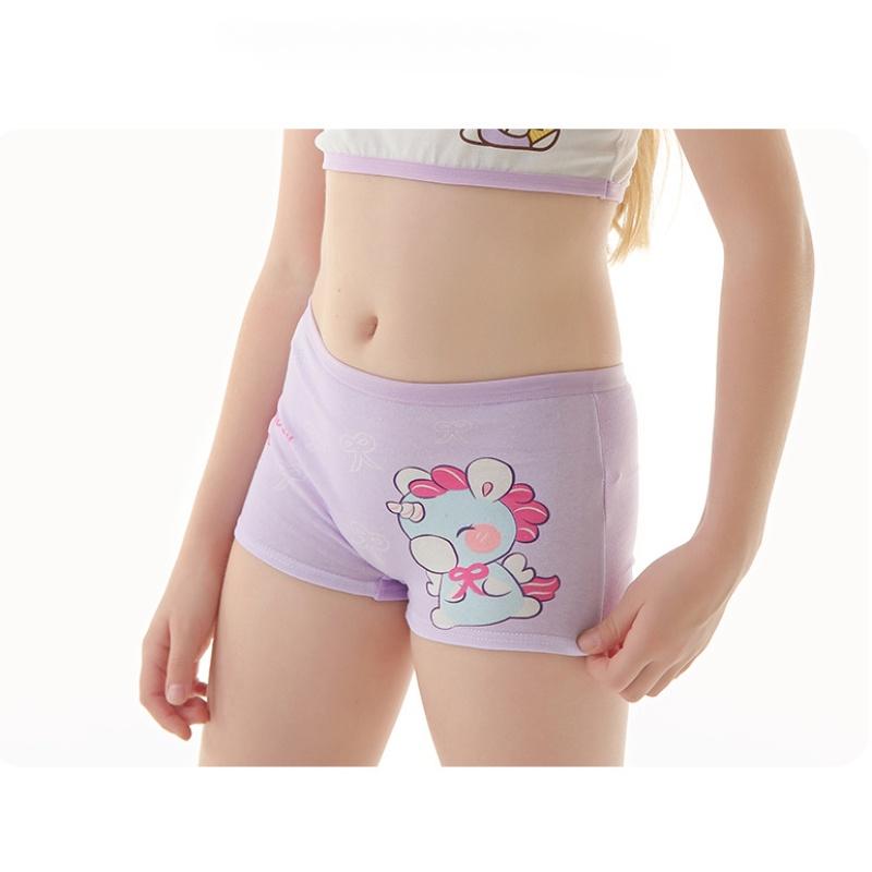 4 Pcs/Set Baby Girls Underwear Cotton Cute Cartoon Panty Kids Stretch Breathable Short Children Soft Underpants 2-12 Years 4