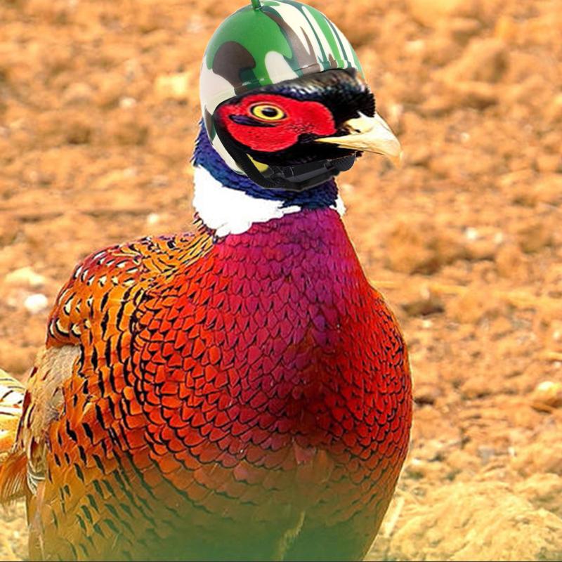 Product Introduction of 1pcs Chicken Helmet Fuuny Hat Hen Pet Protective Gear Sunscreen Rain Helmet Toy Pet Small Pet Supplies 3