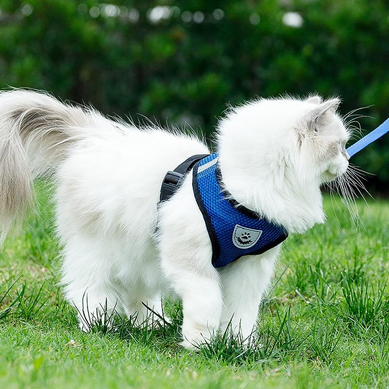 Product Introduction of Cat leash harness cat collar leash set cat leash for Cat puppy leash and collar Dog leash Pet leash 8