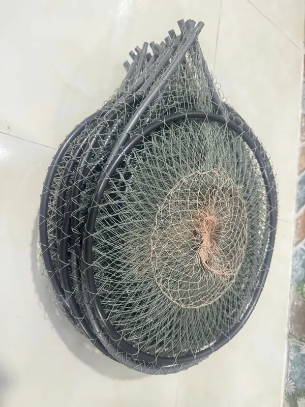 COMBO 20c LỜ CÁ LƯỚI THÁI 30X52 HOM SẮN- KHÔNG KÈM CÂY 3