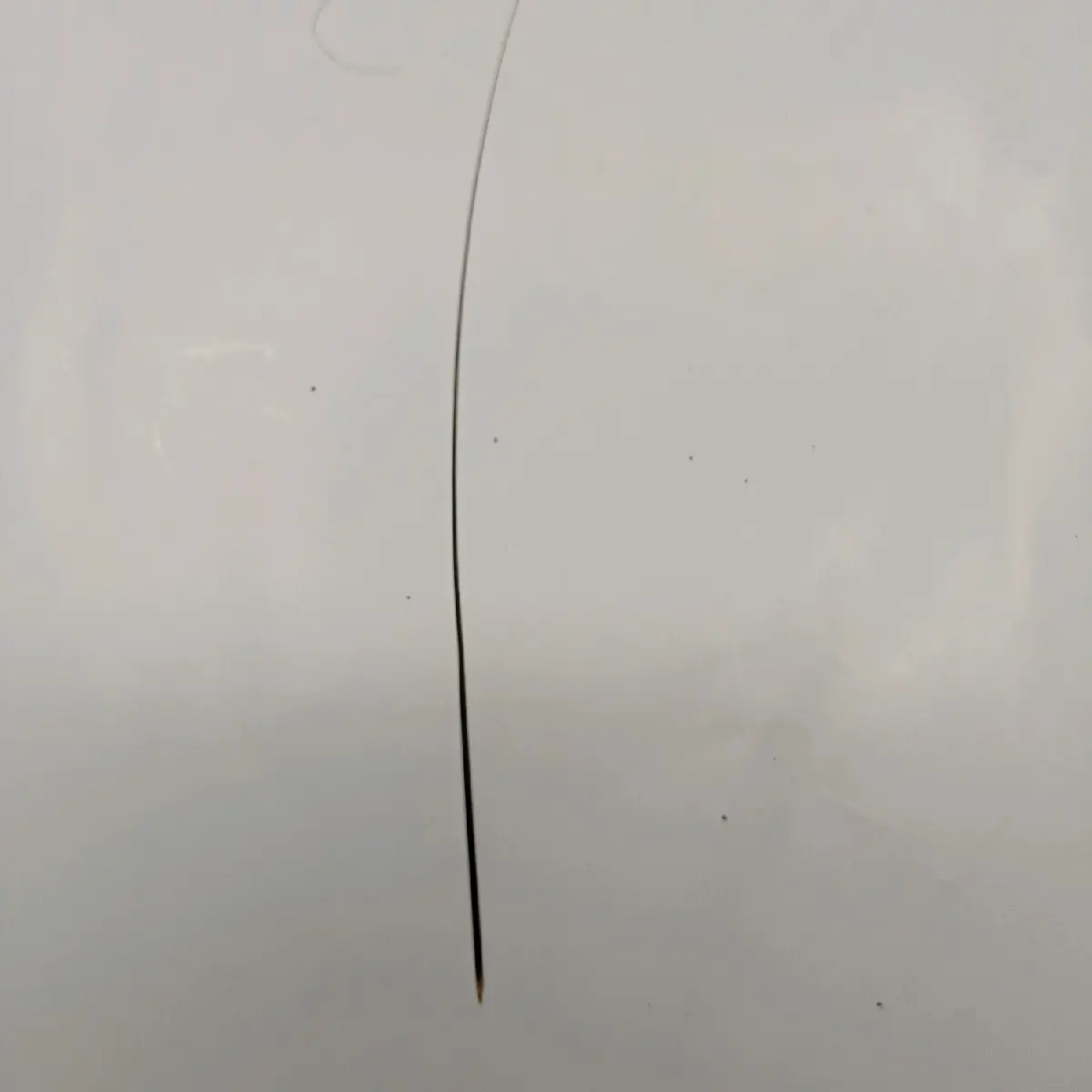patung kumis baong