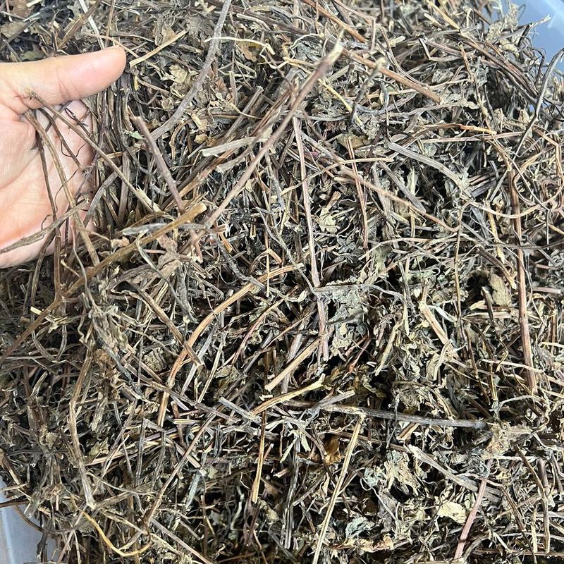 Dây sương sáo nấu sâm lạnh. Dùng nấu nước Uống mát. Tự nhiên không phải loại đông lại Tea Nước Trà Chè Chua Sen
