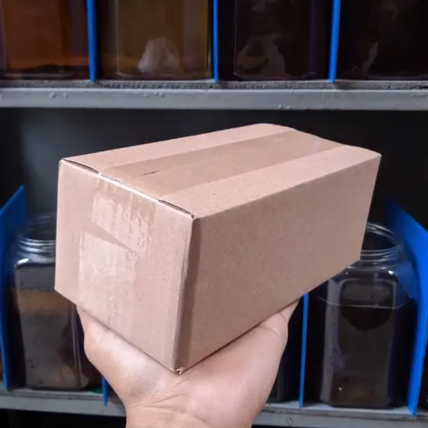 Box Packing Lelang Betta Califor 0
