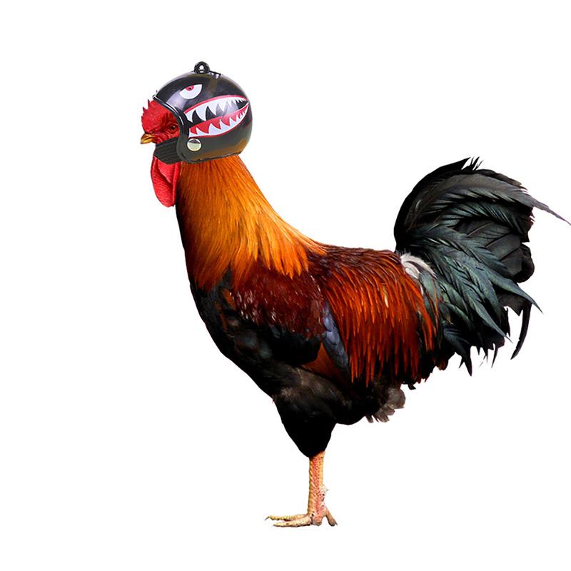 Product Introduction of Funny Chicken Helmet Small Bird Duck Quail Hard Hat Headgear Prevent The Chicken From Smash Protect for Hens Head Small Pet Clothing 11
