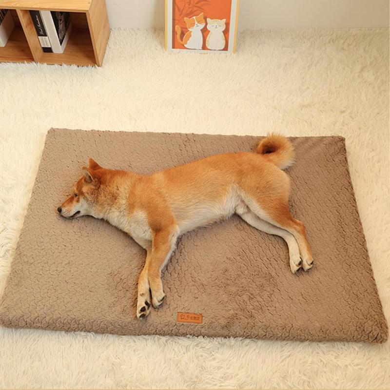 Soft Plush Pet Bed, 1 Count Removable Washable Pet Bed, High Elasticity Pet Rest Bed, Suitable for Small Medium Dogs and Cats 0