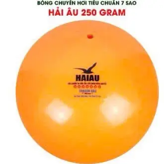 Bóng chuyền hơi Hải Âu 250gram Tròn Sport 5
