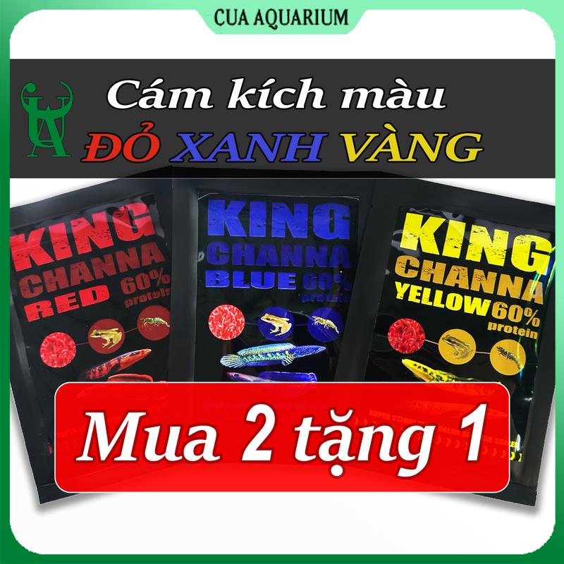 Thức ăn cám kích màu cho cá lóc KING CHANNA (Vẩy Rồng, Nữ Hoàng, Vây Xanh,...)