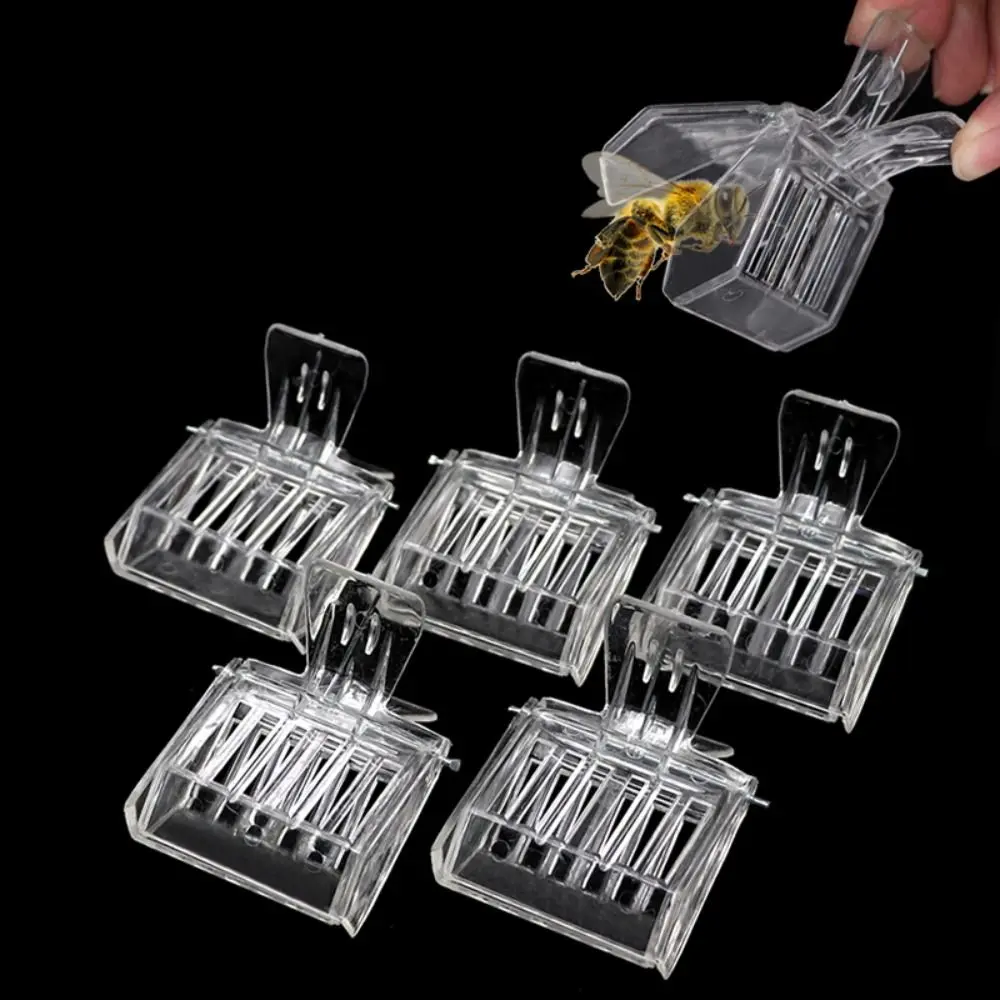 5PCS Durable Beekeeper Equip Plastic Box No-hurt Insect Catcher Beekeeping Clips Queen Bee Cages Clip