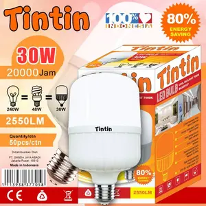 5PCS Paket Grosir bohlam lampu LED tintin 30w 30 watt Putih