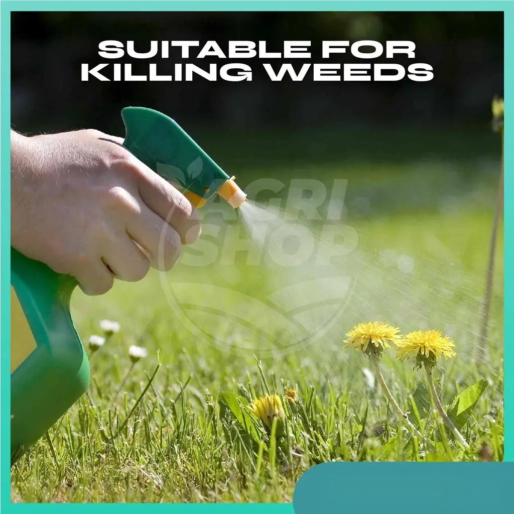Herbicide herbicide 1kg sodium chlorate 99/grass rampai/bamboo can remove  weeds such as Pait grass,