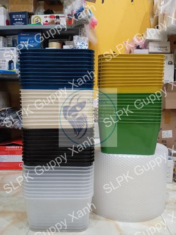 Khay nhựa nuôi cá cảnh 7L (COMBO 3 khay)