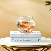 Gambar Vinnatsu 5 Size Aquarium Bulat Fish Bowl Toples Bulat Ikan Hias Aquarium Bulat Fish Bowl Toples Ikan Cupang - A-S1（Dengan basis） dari Vinnatsu MALL2 Kab. Tangerang 5 Tokopedia