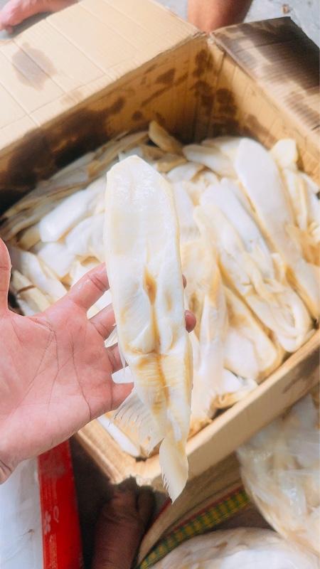 Product Introduction of Ức mỡ cá dứa Dài được đóng gói( 0,5-1kg) hàng khô 3 nắng vị mặn nhẹ vừa ăn cơm 1