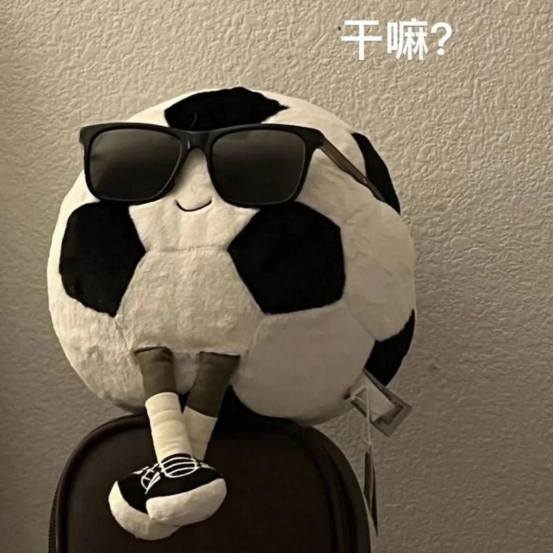 Product Introduction of Đồ Chơi Nhồi Bông Hình Quả Bóng Đá - Thú Bông - Thú Nhồi Bông Toy 17