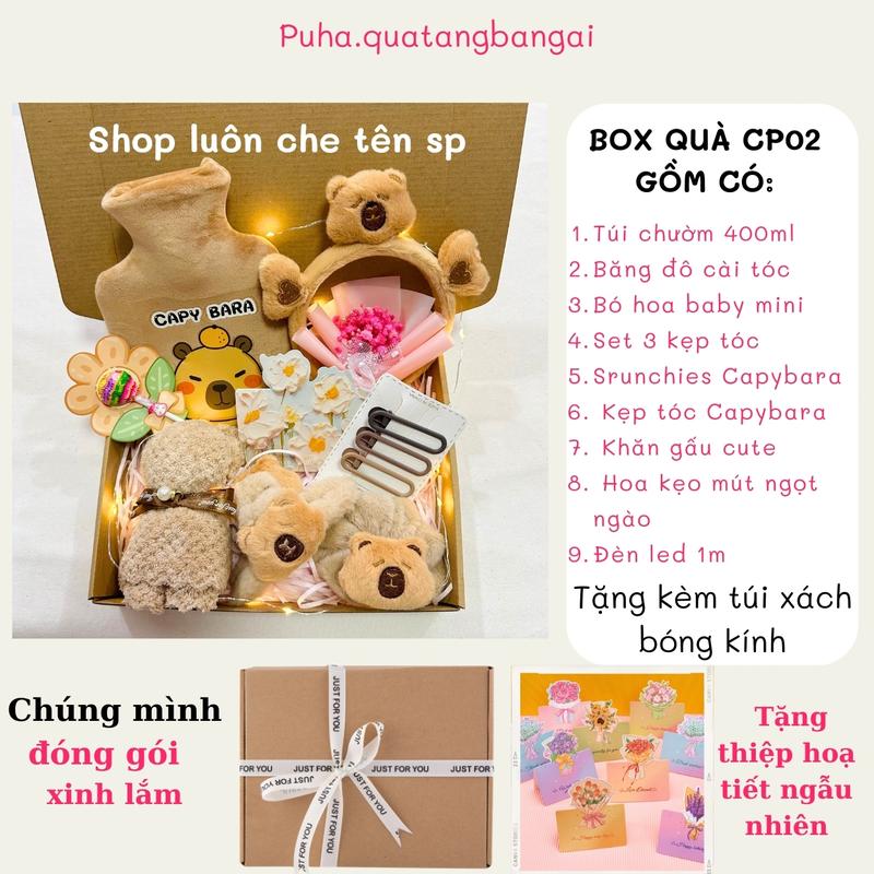 Product Introduction of Bộ quà tặng Capypara,  quà tặng sinh nhật, Noel, giáng sinh  cho bạn nữ có túi chườm nóng giữ ấm, phụ kiện Capypara dễ thương 2