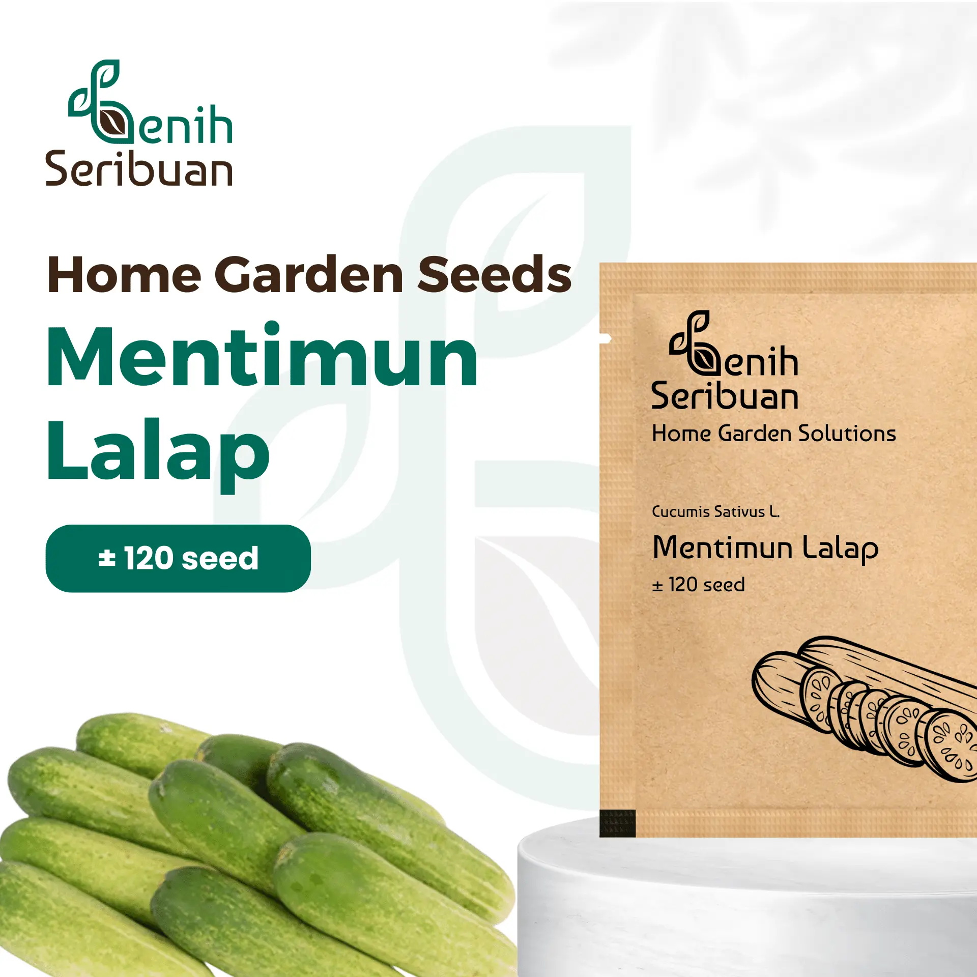 Benih Timun Lalap - Benih Sayuran Seribuan