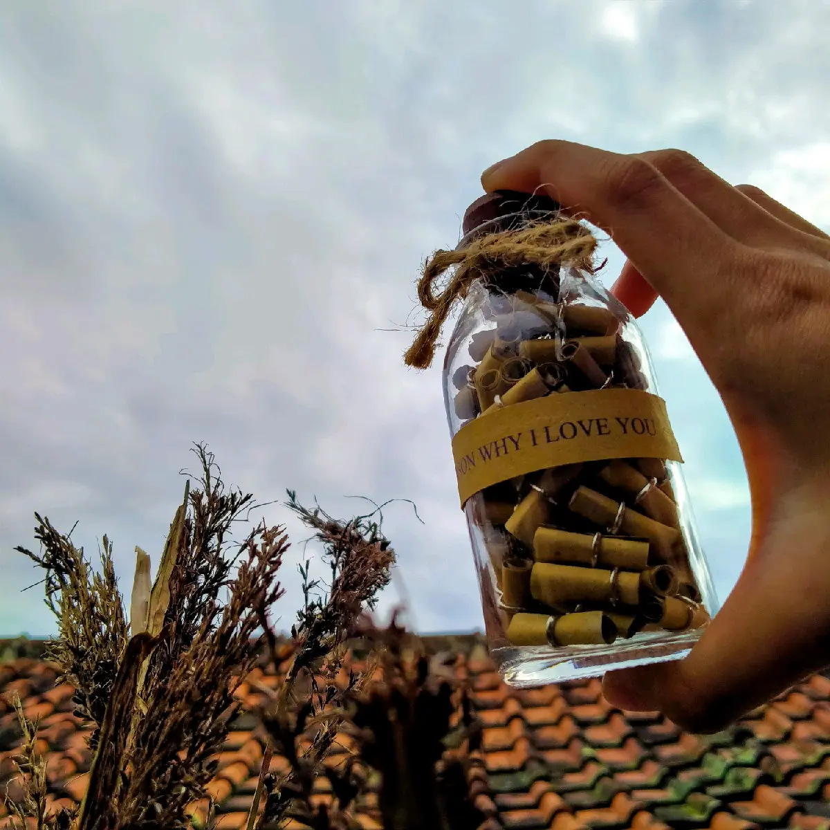 Wish In Jar / Wish In Bottle Ulang tahun