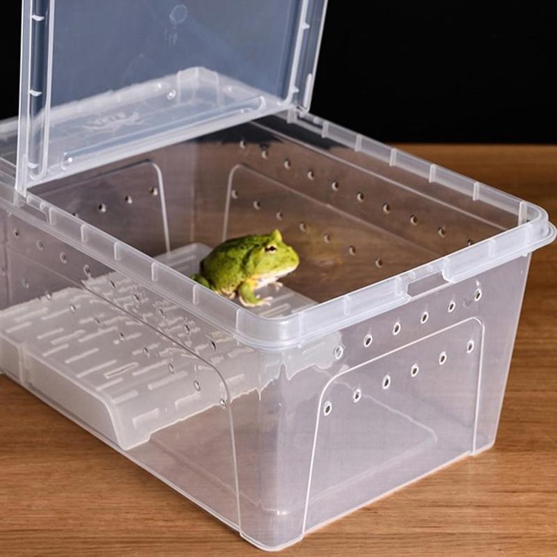 Reptile cage tank, home turtle breeding box, transparent, silk - TikTok ...