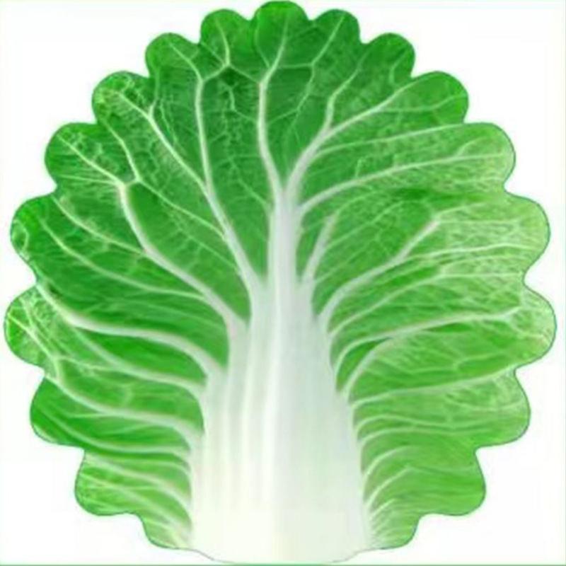 Product Introduction of Chăn Bắp Cải, Thiết Kế Vui Nhộn Mềm Mại Và Dễ Thương, Thích Hợp Điều Hòa Không Khí, Khối Lượng Nhẹ Mới Lạ, Chăn Ngủ Trưa, Dành Cho Người Lớn 18