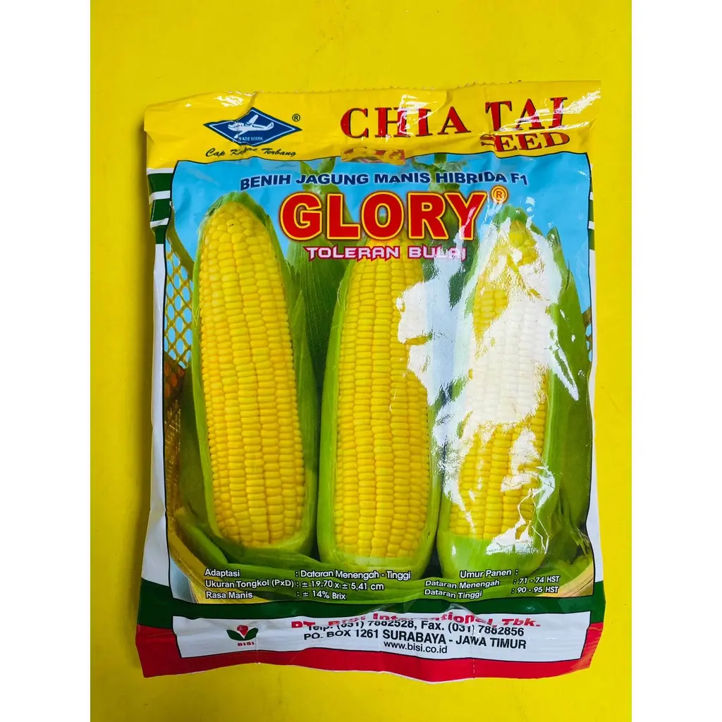 Benih Jagung Manis GLORY hibrida f1 Tahan Bulai berat isi 250gr dari CAP KAPAL TERBANG